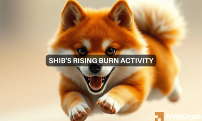 Shiba Inu: ¿SHIB es una apuesta segura en diciembre? Evaluando…