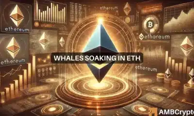 Las ballenas Ethereum acumulan mil millones de dólares en ETH: ¿Señal de un repunte?