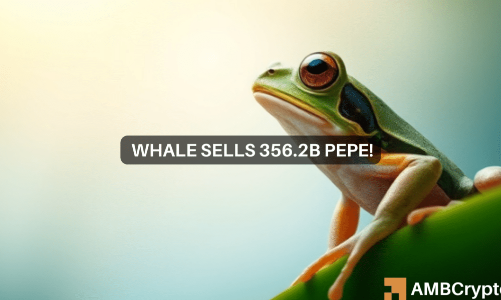 Pepe Whale vende 356.200 millones de tokens por valor de 7,3 millones de dólares: ¿Impacto en el precio?