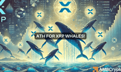 XRP alcanza el máximo de 6 años: ¿Las ballenas llevarán el token a 3 dólares ahora?