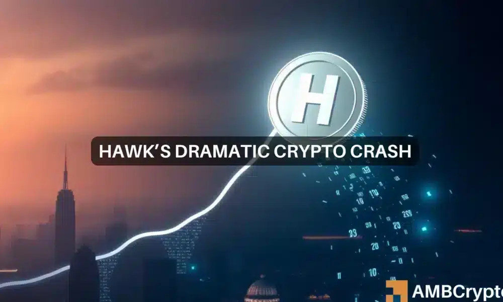 Por qué la criptografía HAWK de Haliey Welch es controvertida: 'Habla con tu juez sobre esto'