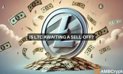 La corrida alcista de Litecoin: el 80% de los inversores obtienen ganancias: ¿se avecina una liquidación?