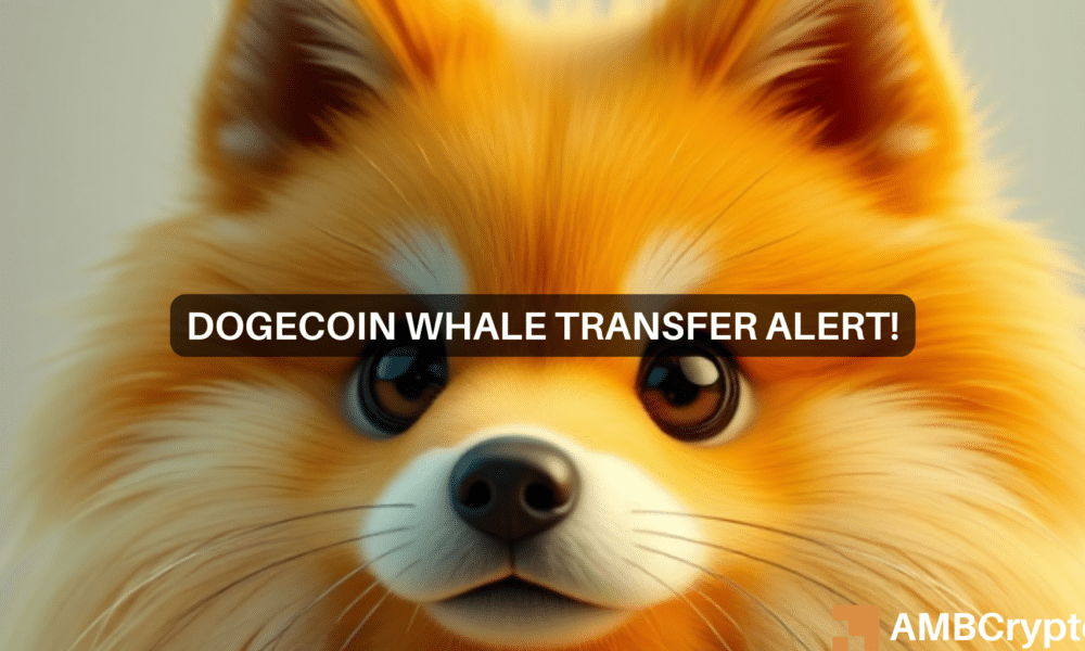 DOGE valorado en 56 millones de dólares movido por ballenas: las probabilidades de un repunte de Dogecoin ahora son...