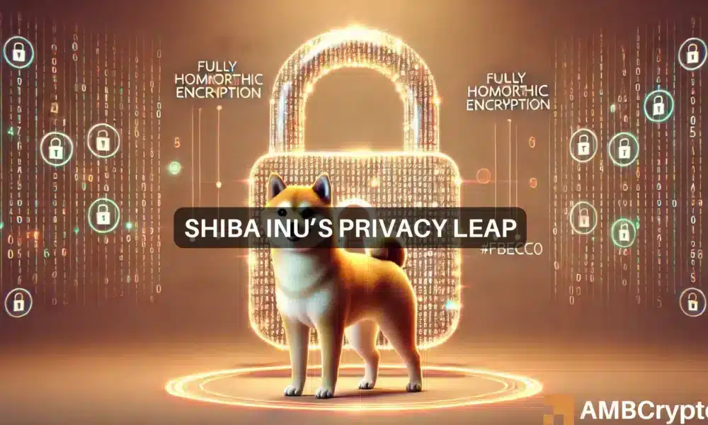 shiba-inu [SHIB] actualización: 620 millones de transacciones, nueva actualización de privacidad: ¿impacto en el precio?