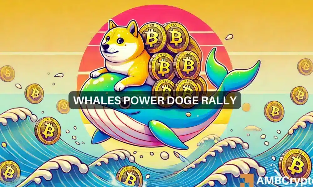 Las ballenas Dogecoin compran 160 millones de DOGE: ¿esto indica una bomba?