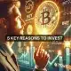 Bitcoin: 5 razones para invertir en BTC antes de 2025