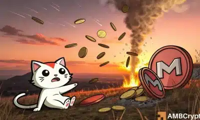 MEW vs POPCAT: ¿Podría un lanzamiento de memecoin estar más cerca de lo que crees?