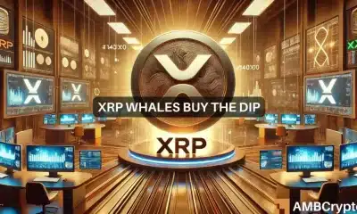 XRP cruza los $2,50: ¿Puede la actividad de las ballenas sostener el repunte?