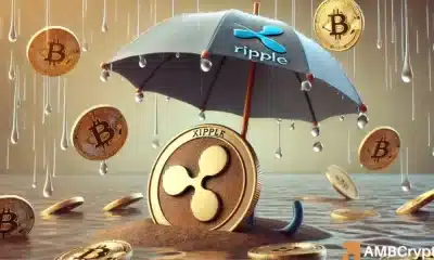 Se revelan números clave que comparan XRP con BTC y ETH, lo que ofrece información imperdible