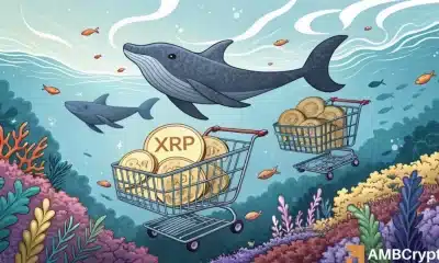 ¿Podría XRP alcanzar los $100, $300 o incluso $500? Esto es lo que podría hacer que esto suceda