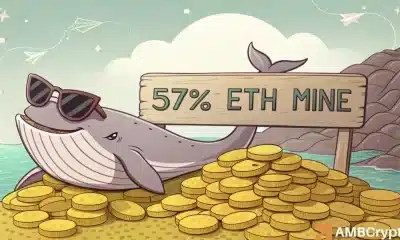 Las ballenas Ethereum ahora poseen el 57% del suministro: ¿Impacto en ETH?