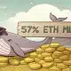 Las ballenas Ethereum ahora poseen el 57% del suministro: ¿Impacto en ETH?