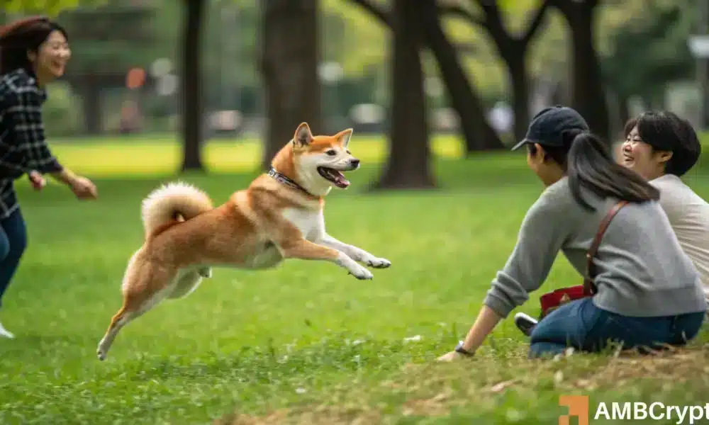 El último movimiento del Metaverso de Shiba Inu: ¡Todo sobre el 'innovador' Proyecto de Mundo Virtual!