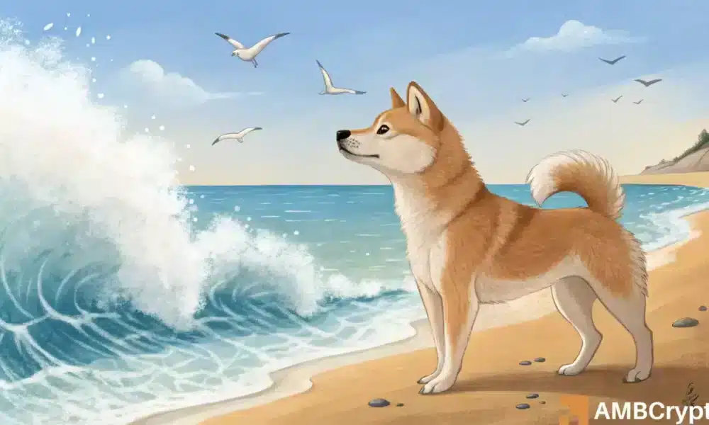 Shiba Inu ve un aumento en la actividad de las ballenas: lo que significa para SHIB