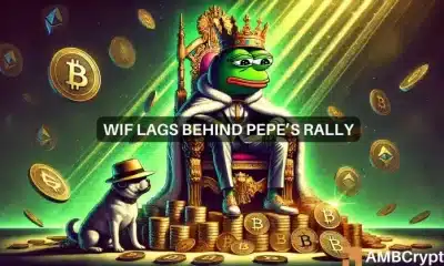 PEPE vs. WIF- Por qué la rana tiene más creyentes que el perro con sombrero