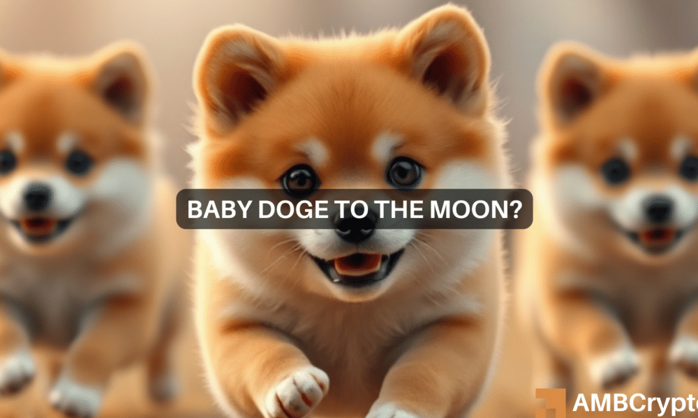 Elon Musk provoca el frenesí de Baby Doge, pero ¿la exageración dura poco?