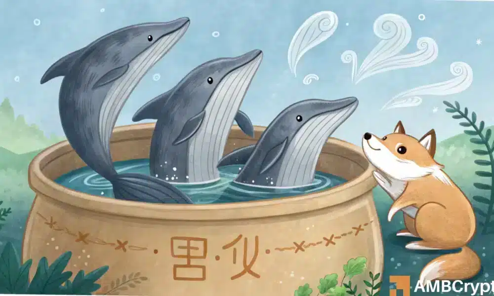 Las ballenas Shiba Inu vuelven a estar activas: ¿Impacto en SHIB?