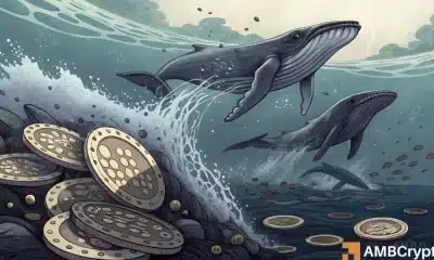 Las ballenas acumulan ADA, pero el repunte de Cardano sigue siendo incierto