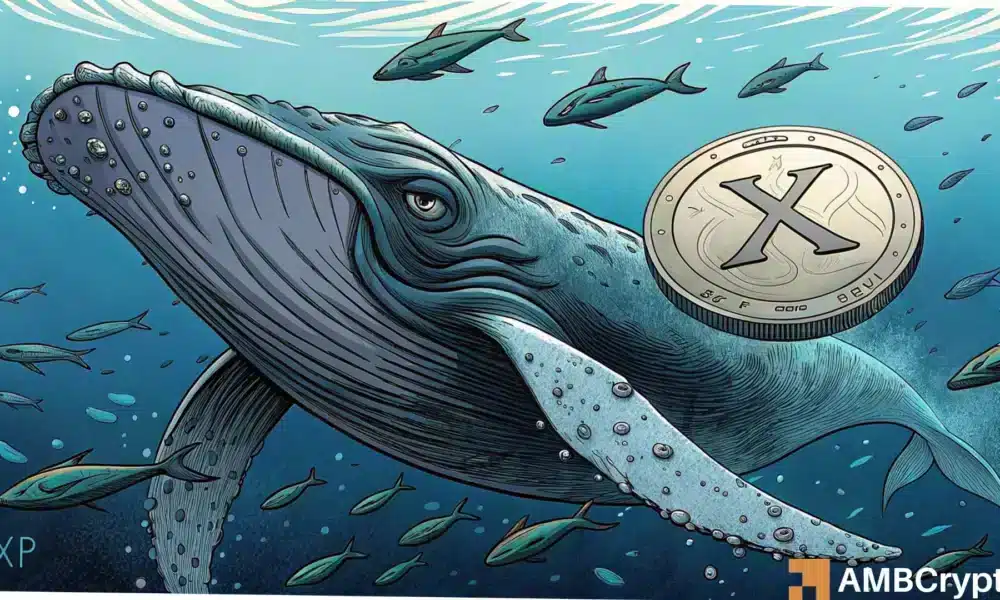 Los movimientos de las ballenas XRP insinúan una reducción de la oferta: ¿será el precio de $4?