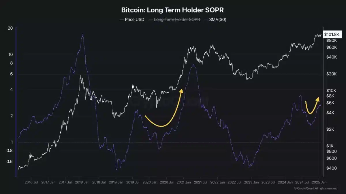 Bitcoin's Rally llega a la pausa: ¿se mantendrá su nivel de soporte a medida que los titulares a largo plazo se vendan?