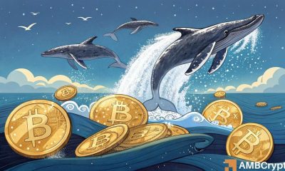 Bitcoin: las ballenas acumulan 22k BTC de la caída, ¿más probable Rally?