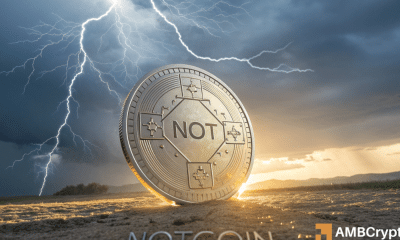 El futuro incierto de Notcoin: ¿la recuperación de NOT está más cerca de lo que cree?