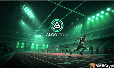 Algorand: Algo puede reunirse en un 54% solo si esto sucede