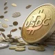 La oferta del USDC alcanza los 2.000 millones de dólares: ¿Están los inversores siendo cautelosos con respecto a Bitcoin?