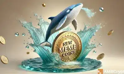 Las ballenas apuntan a nuevas memecoins: ¿es exageración o los OG están perdiendo ventaja?