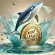 Las ballenas apuntan a nuevas memecoins: ¿es exageración o los OG están perdiendo ventaja?