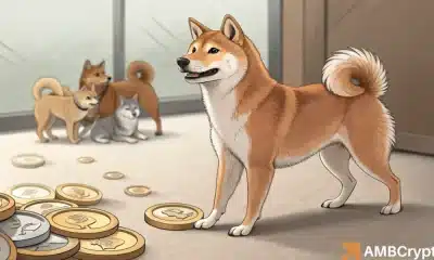 Shiba Inu se mantiene firme a medida que las memecoras disminuyen en un 12%, ¿qué ahora?