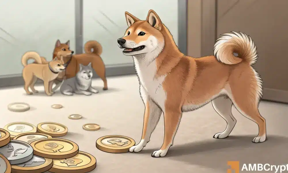 Shiba Inu se mantiene firme a medida que las memecoras disminuyen en un 12%, ¿qué ahora?