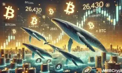 ¿Las ballenas BTC salvarán a Bitcoin a medida que el mercado se sumergirá en la zona de 'miedo extremo'?