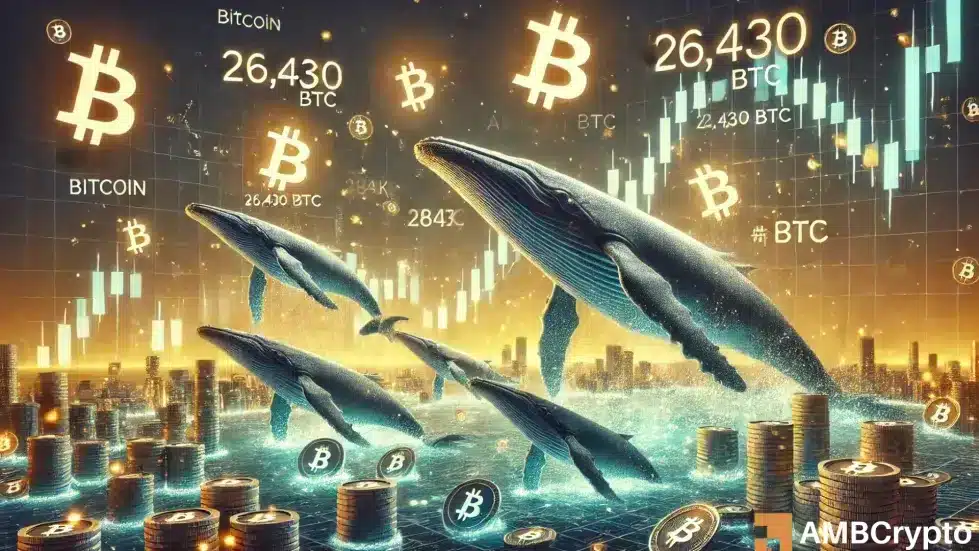 ¿Las ballenas BTC salvarán a Bitcoin a medida que el mercado se sumergirá en la zona de 'miedo extremo'?