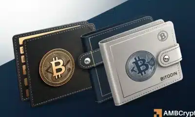 Las billeteras de bitcoin alcanzaron un mínimo de 5 meses a medida que la salida de los comerciantes pequeños: ¿las ballenas están comprando el chapuzón?