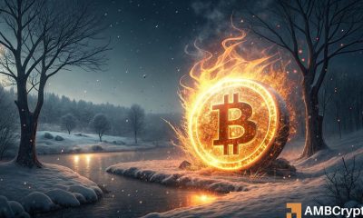 'La parte superior del ciclo de Bitcoin no está en, solo retroceso en la mitad del bulto'-Analista