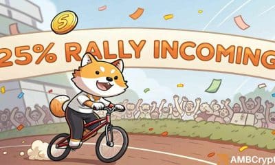 Shiba inu ballena transfiere 1.24t shib - ¿esto provocará un aumento del 25%?