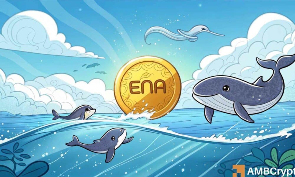 Ethena: Cómo una acción de ballena de $ 5.95 millones empujó los precios ena más altos