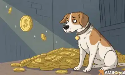 Las ballenas de Dogecoin desaparecen: ¿la exageración de Memecoin finalmente se desvanece?