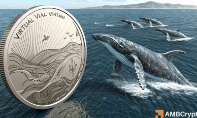 Virtual: analizar cómo un volcado de ballenas de 4.88m afectó la moneda