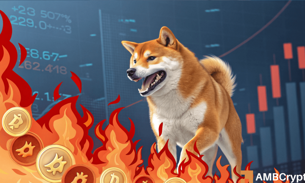 El enorme 2532.14% de quemaduras de Shiba Inu: ¿puede activar un rally de precios?