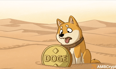 Decline de Dogecoin: ¿puede DOGE recuperarse de su caída del 95% en la actividad?