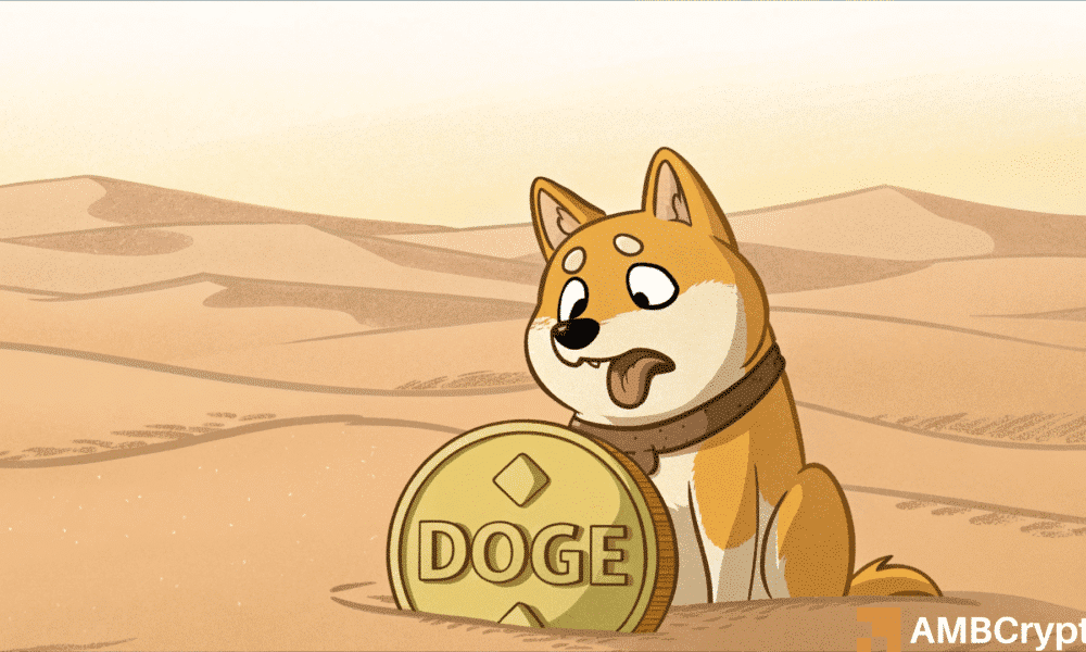 Decline de Dogecoin: ¿puede DOGE recuperarse de su caída del 95% en la actividad?