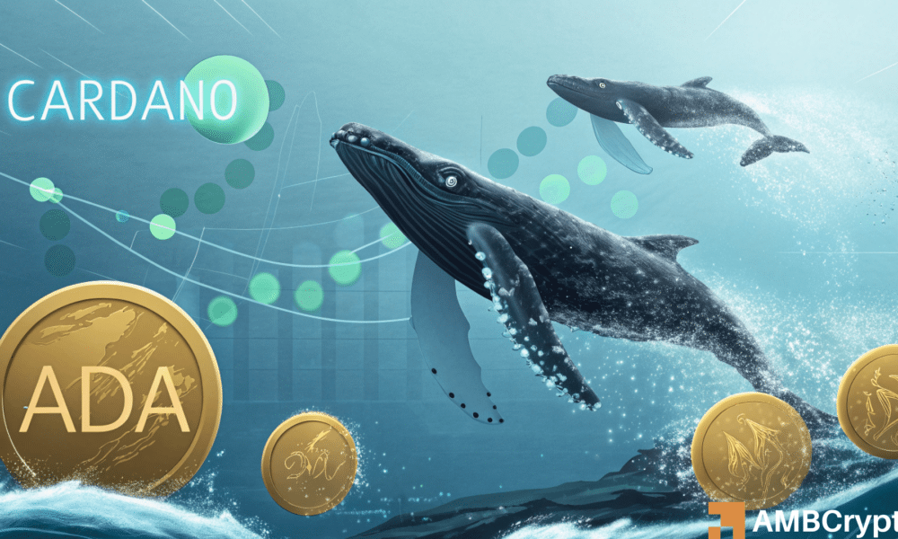 Cardano: 130m Ada comprada por ballenas, pero el precio continúa cayendo, aquí está por qué