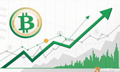 Predecir el próximo movimiento de Bitcoin: ¿está a la vista un rally a corto plazo?