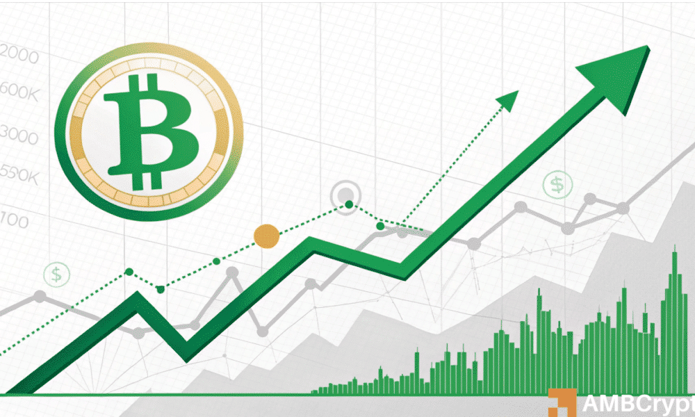 Predecir el próximo movimiento de Bitcoin: ¿está a la vista un rally a corto plazo?