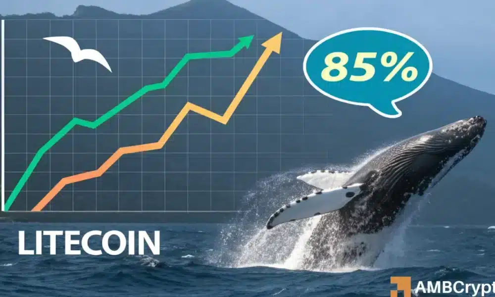 Las ballenas litecoin se vuelven alcistas a medida que las probabilidades de ETF LTC alcanzan casi el 90%, ¿qué sigue?