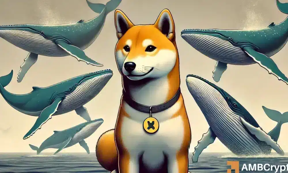 Shiba Inu se mantiene firme en este apoyo: ¿es hora de comprar Shib?