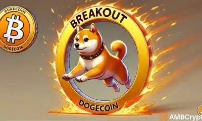 Dogecoin todavía 47% por debajo del pico: ¿hora adecuado para comprar la salsa de dogas?