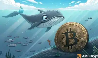 Bitcoin: Como las ballenas apostan contra BTC, ¿qué sucede ahora?